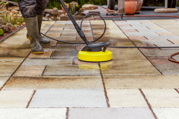 Best Spring Cleaning  in South Rockwood, MI